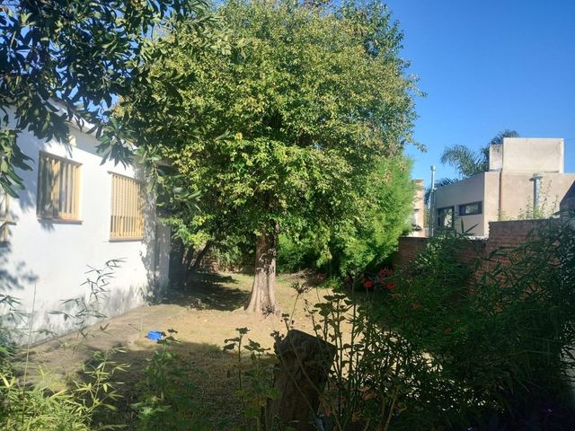 place photo 33