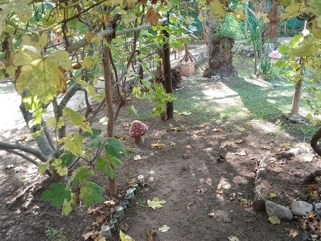 place photo 49