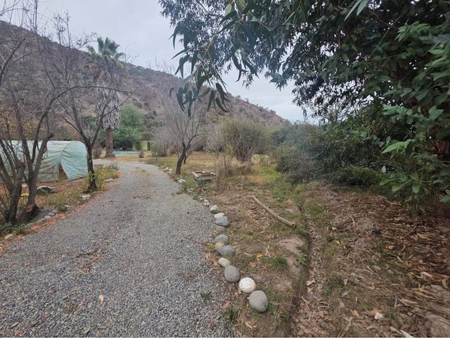 place photo 41