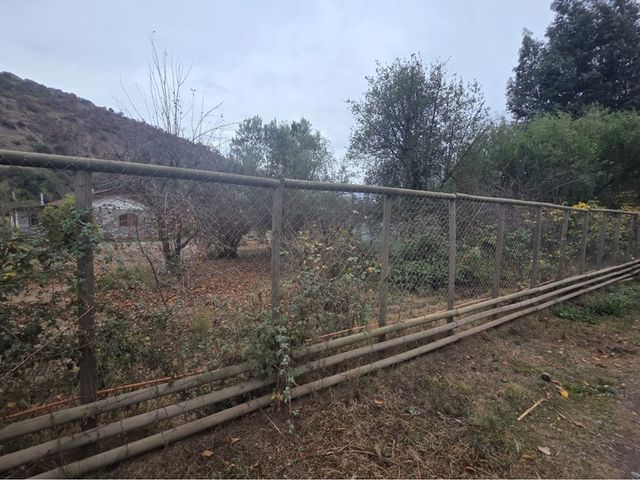 place photo 42