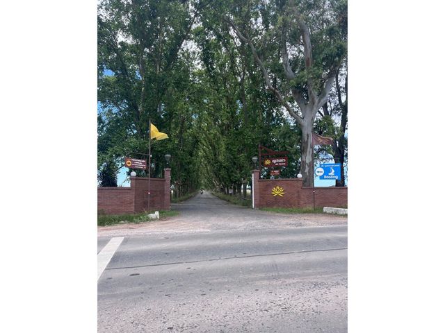 place photo 17