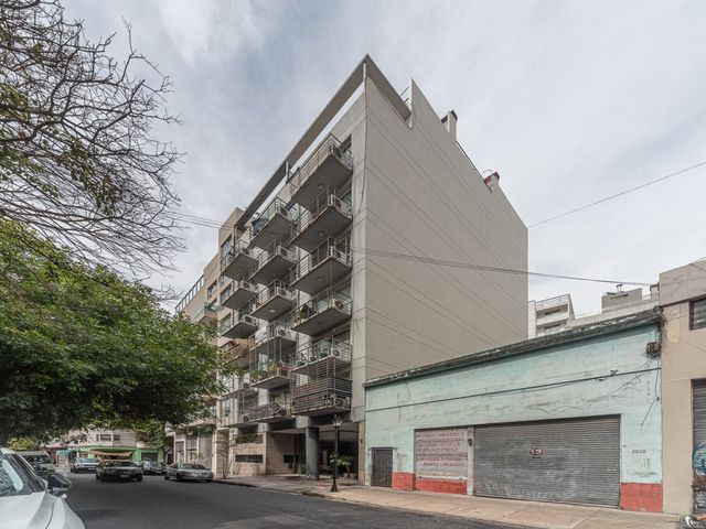 place photo 19