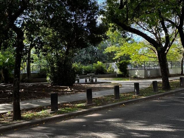 place photo 28