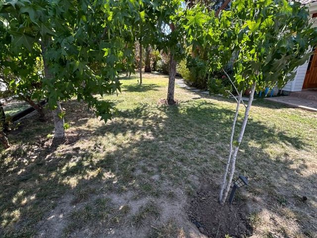place photo 27
