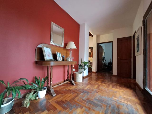 place photo 56