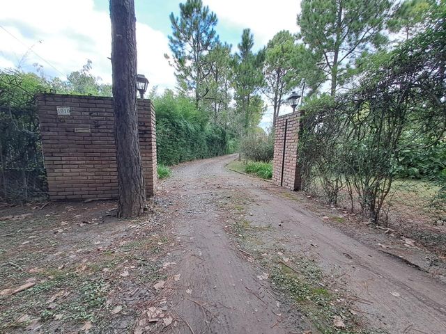 place photo 46