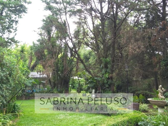 place photo 53