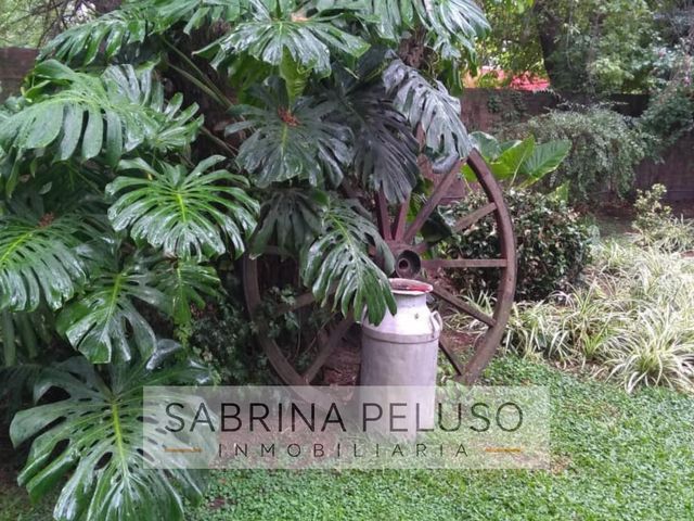 place photo 54