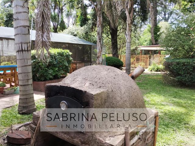 place photo 31
