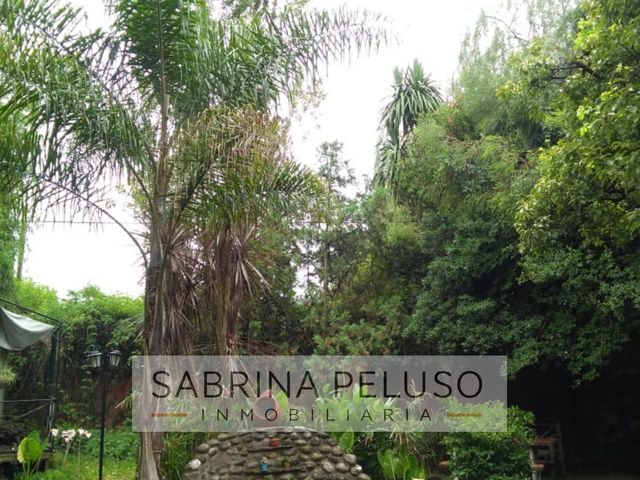 place photo 33