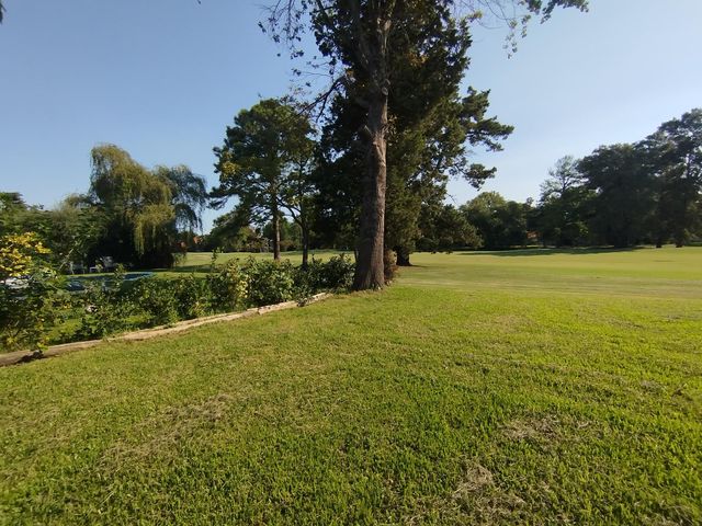 place photo 29