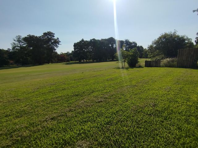 place photo 31