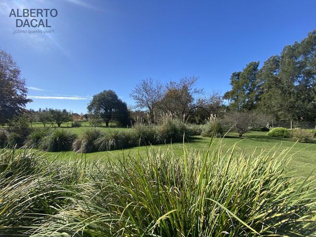 place photo 51
