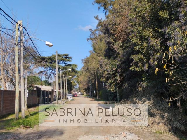 place photo 30