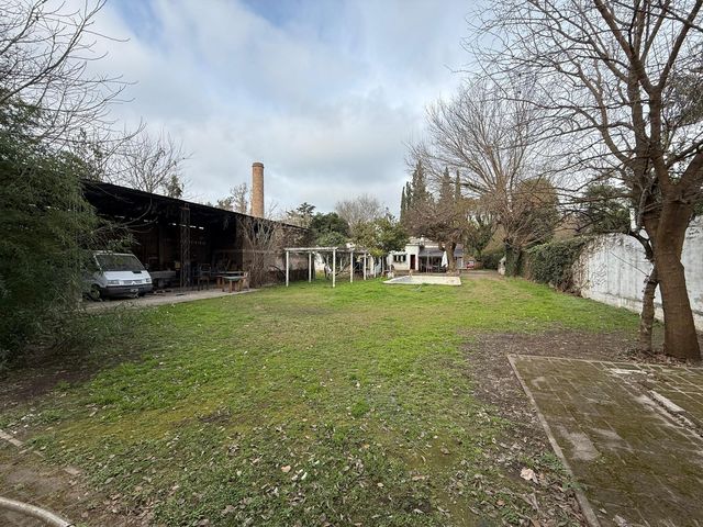 place photo 37