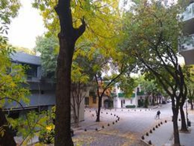 place photo 50