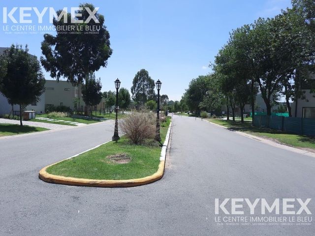 place photo 31