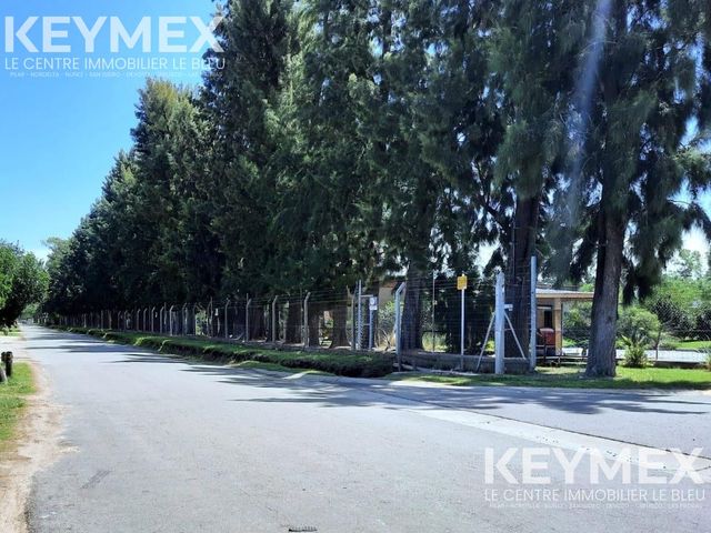 place photo 37