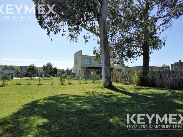 place photo 27