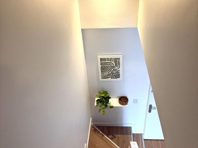 place photo 44