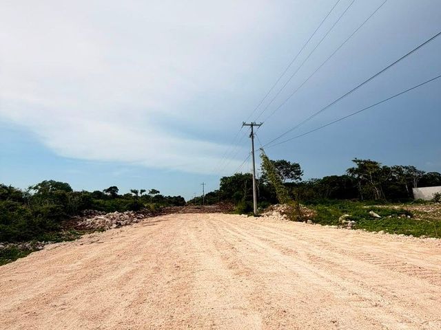 place photo 16