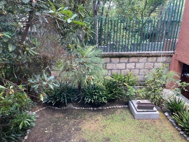 place photo 25