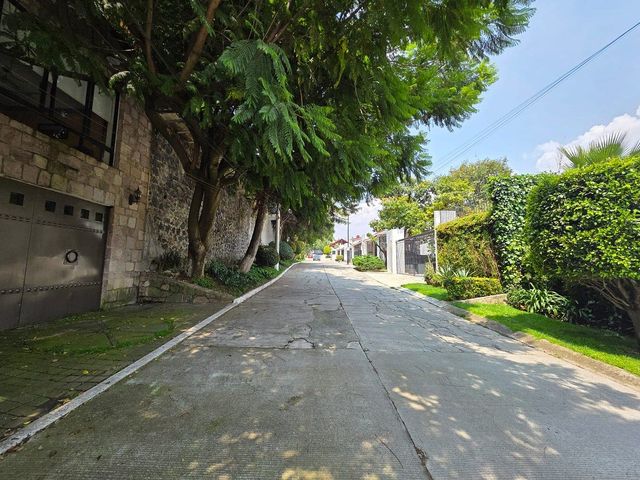 place photo 31