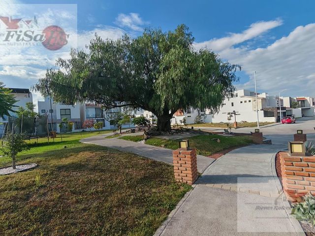 place photo 44