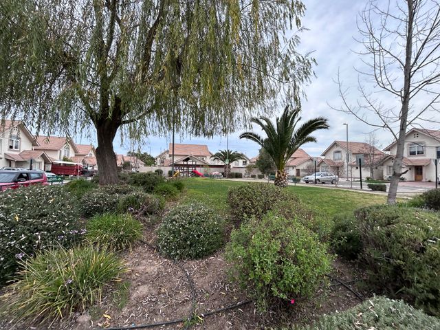 place photo 29