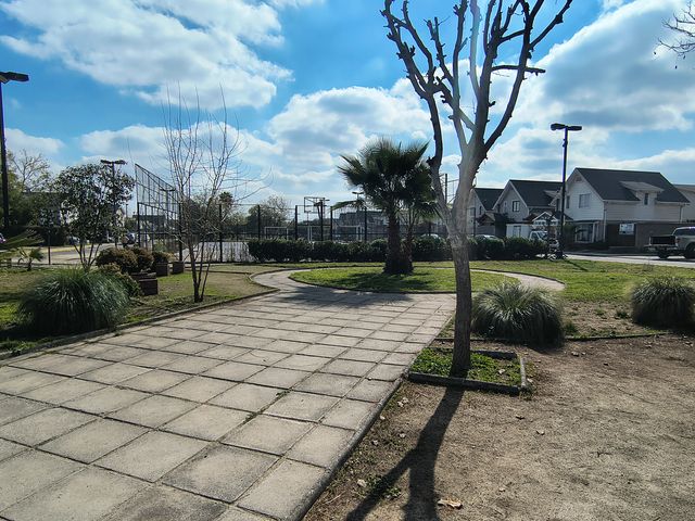 place photo 23