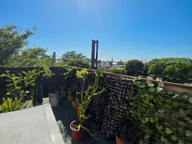 place photo 24