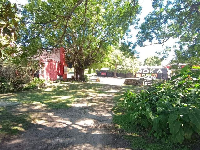 place photo 27