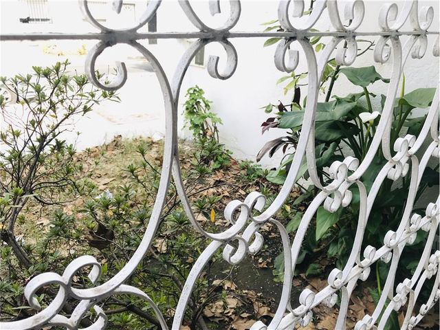 place photo 48