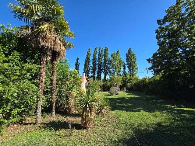place photo 40