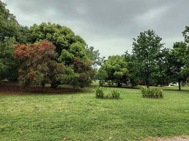 place photo 44