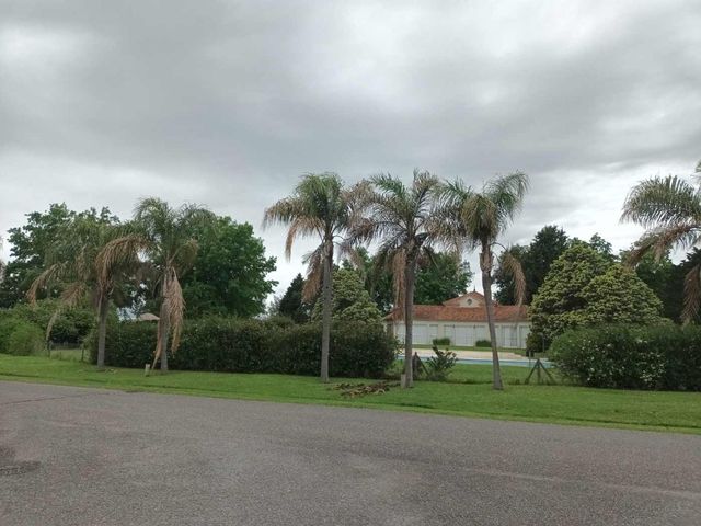 place photo 31
