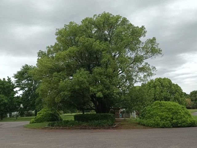 place photo 36