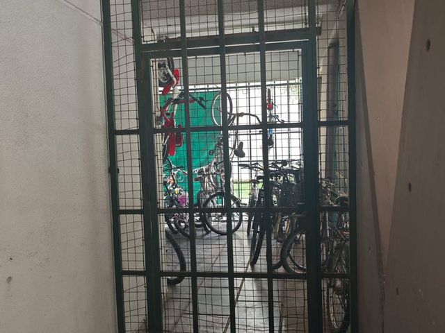 place photo 43