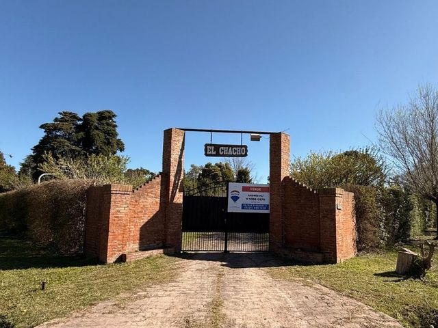 place photo 18