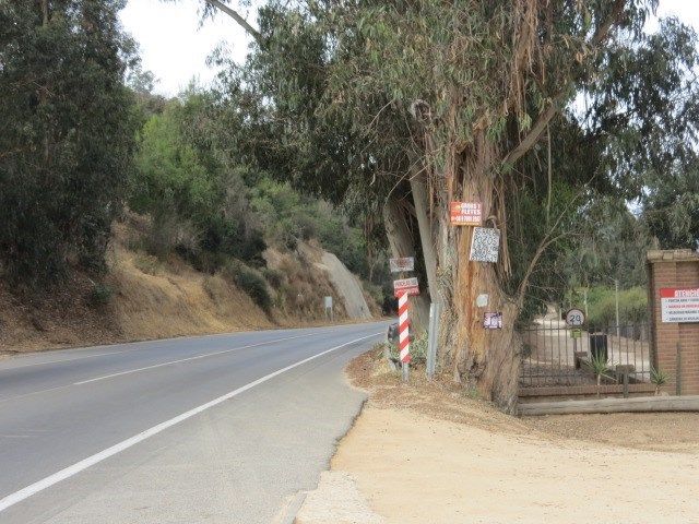 place photo 44