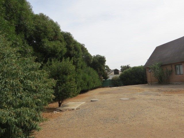 place photo 11