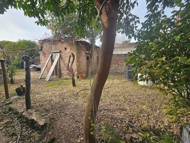 place photo 60