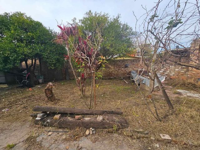 place photo 64