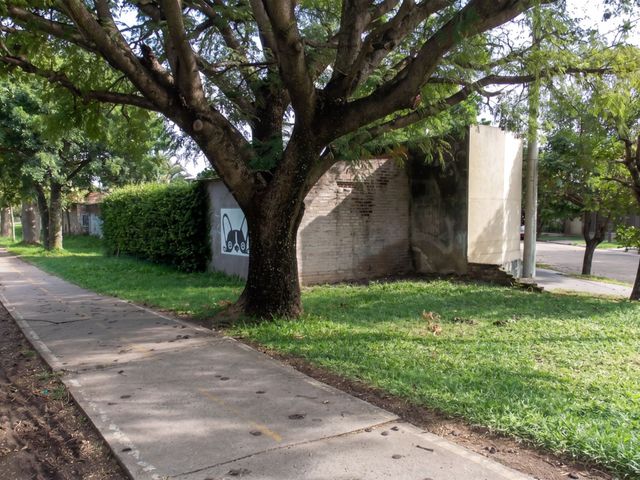 place photo 44