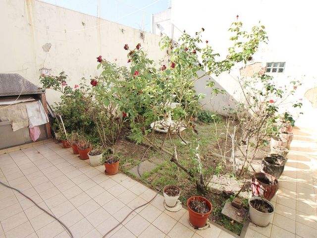 place photo 40