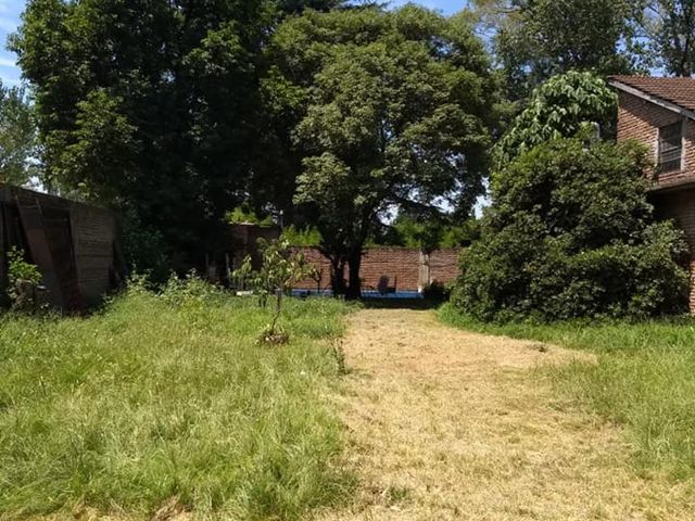 place photo 17