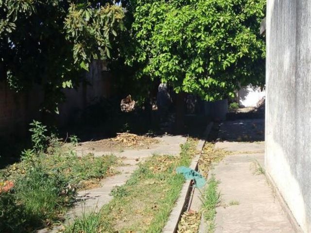 place photo 10