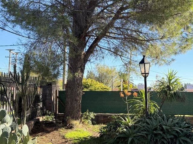 place photo 33