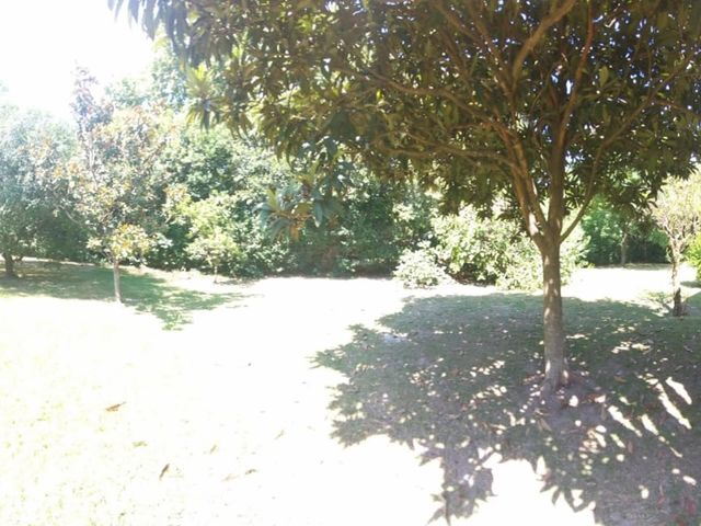 place photo 34