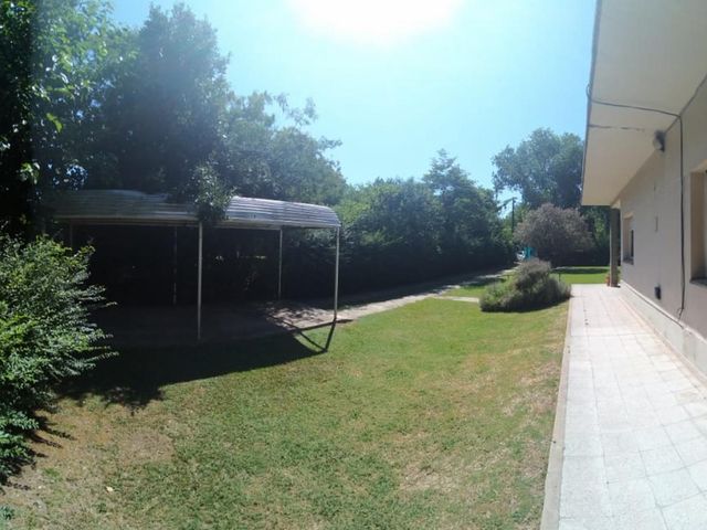 place photo 49